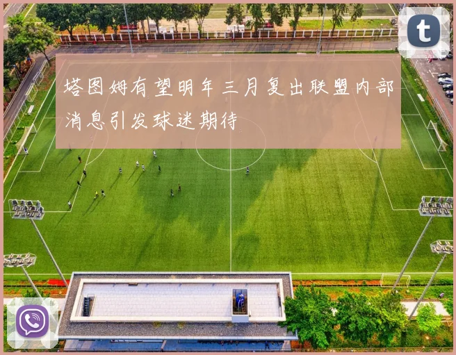 塔图姆有望明年三月复出联盟内部消息引发球迷期待