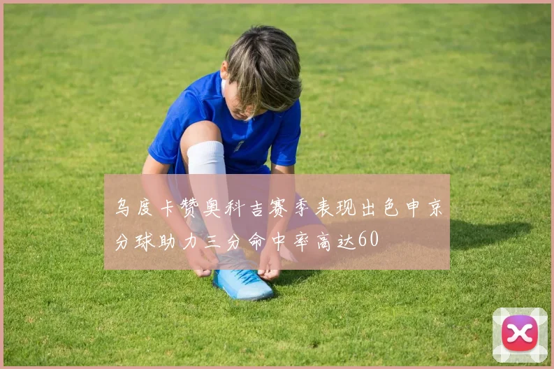 乌度卡赞奥科吉赛季表现出色申京分球助力三分命中率高达60