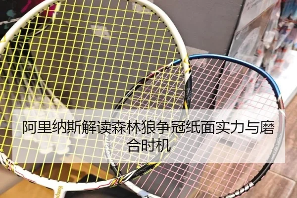 阿里纳斯解读森林狼争冠纸面实力与磨合时机